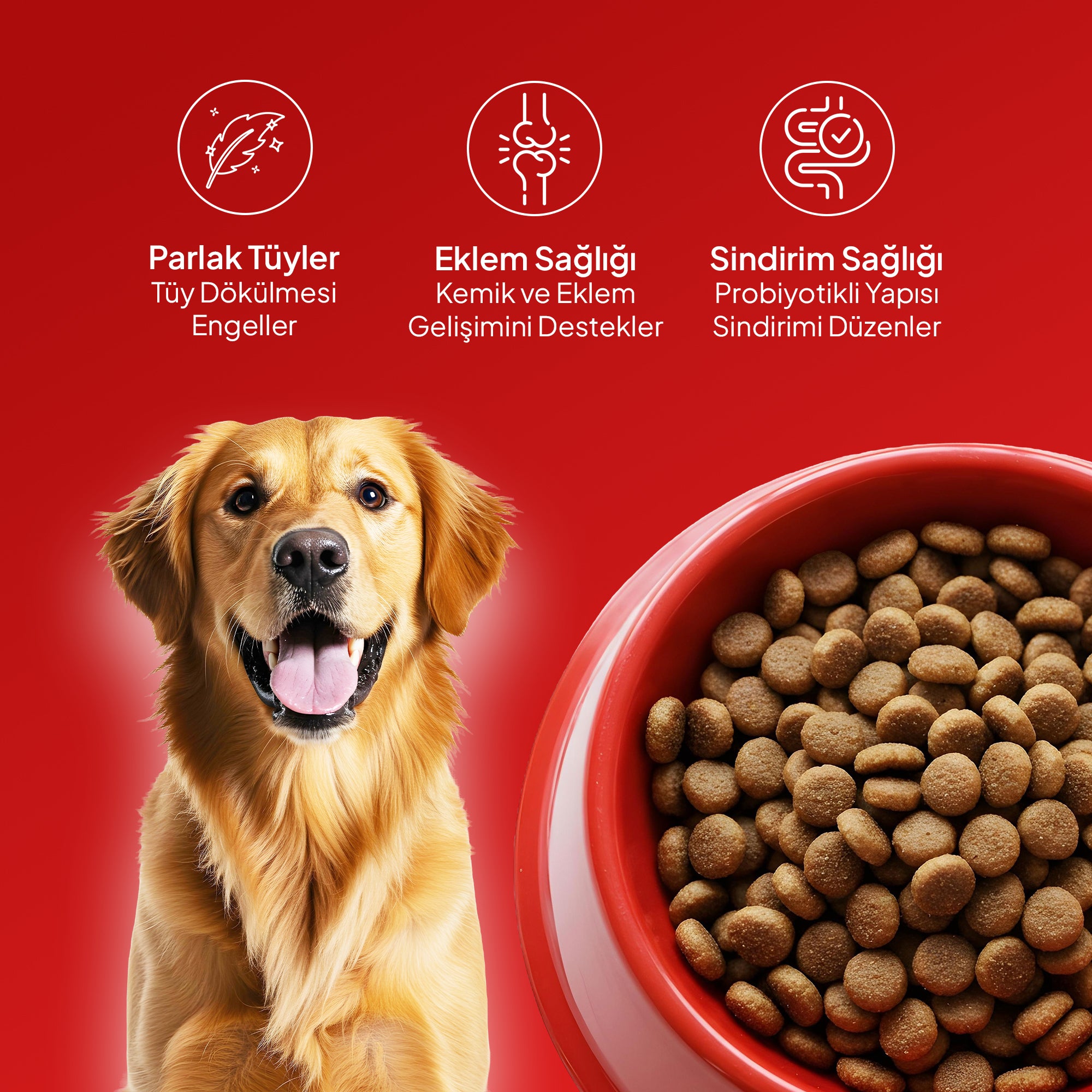 Chef’s Kibbles Biftekli ve Pirinçli Yetişkin Köpek Maması 15KG
