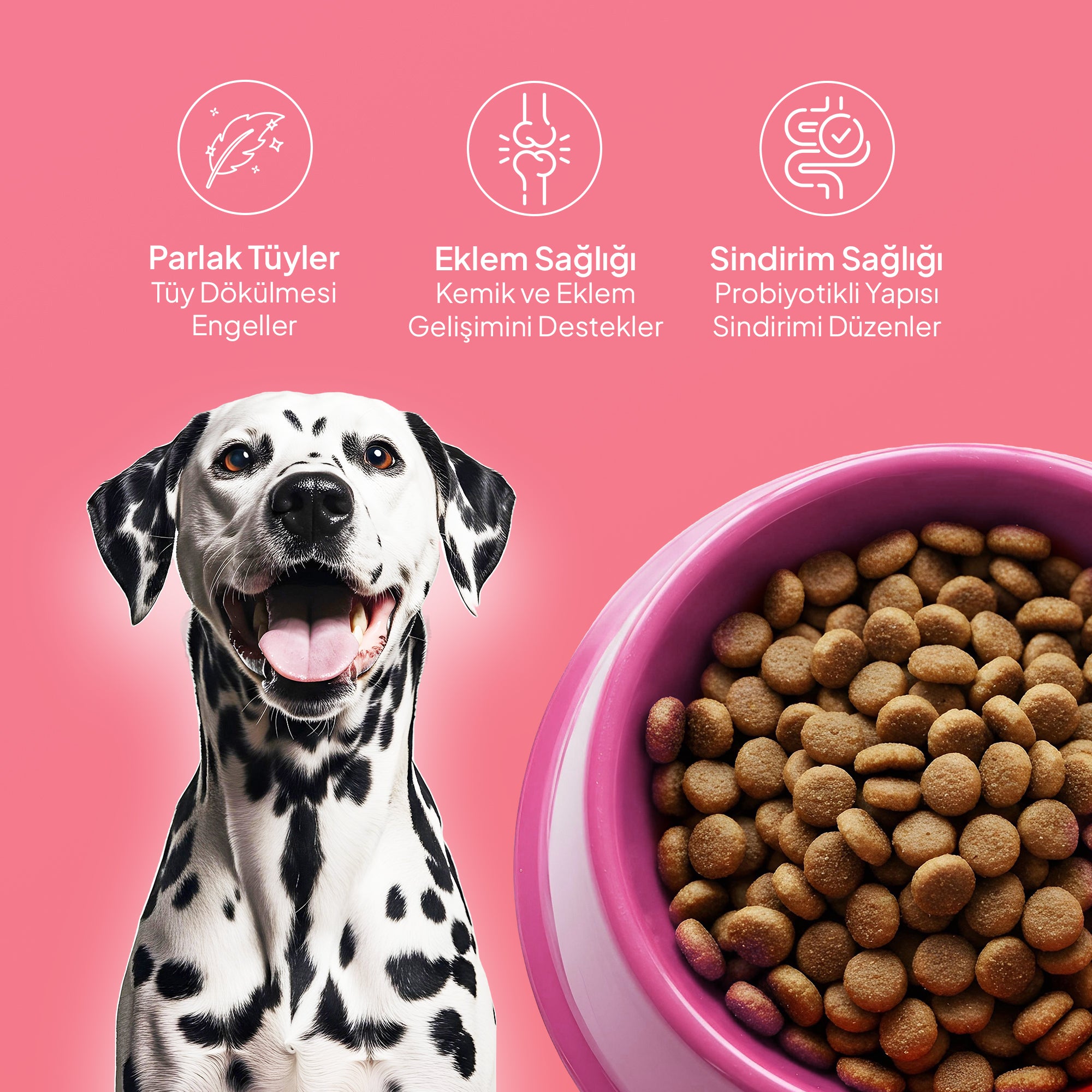 Chef’s Kibbles Norveç Somonlu Yetişkin Köpek Maması 15KG