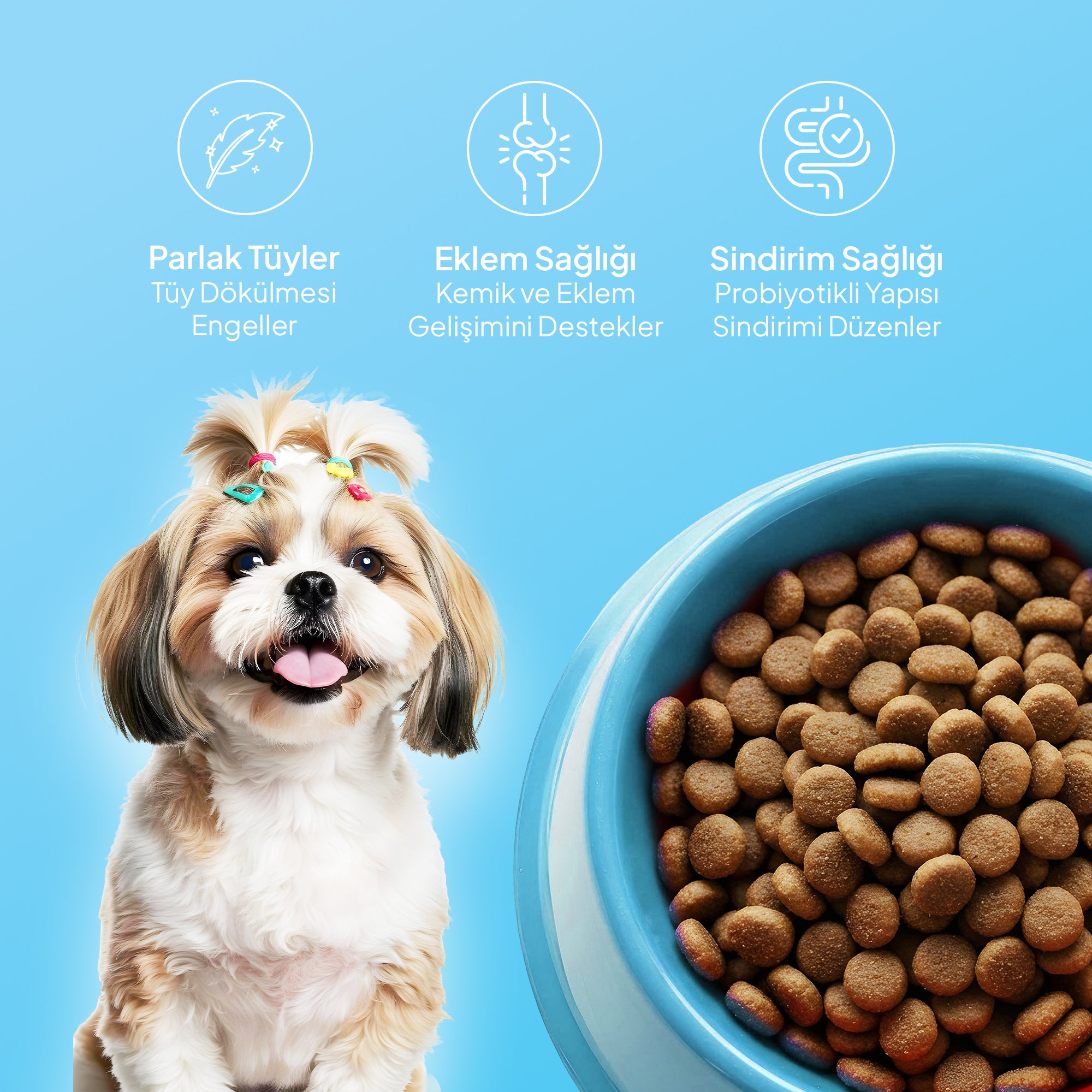 Chef’s Kibbles Norveç Somonlu Küçük ve Mini Irk Köpek Maması 15KG