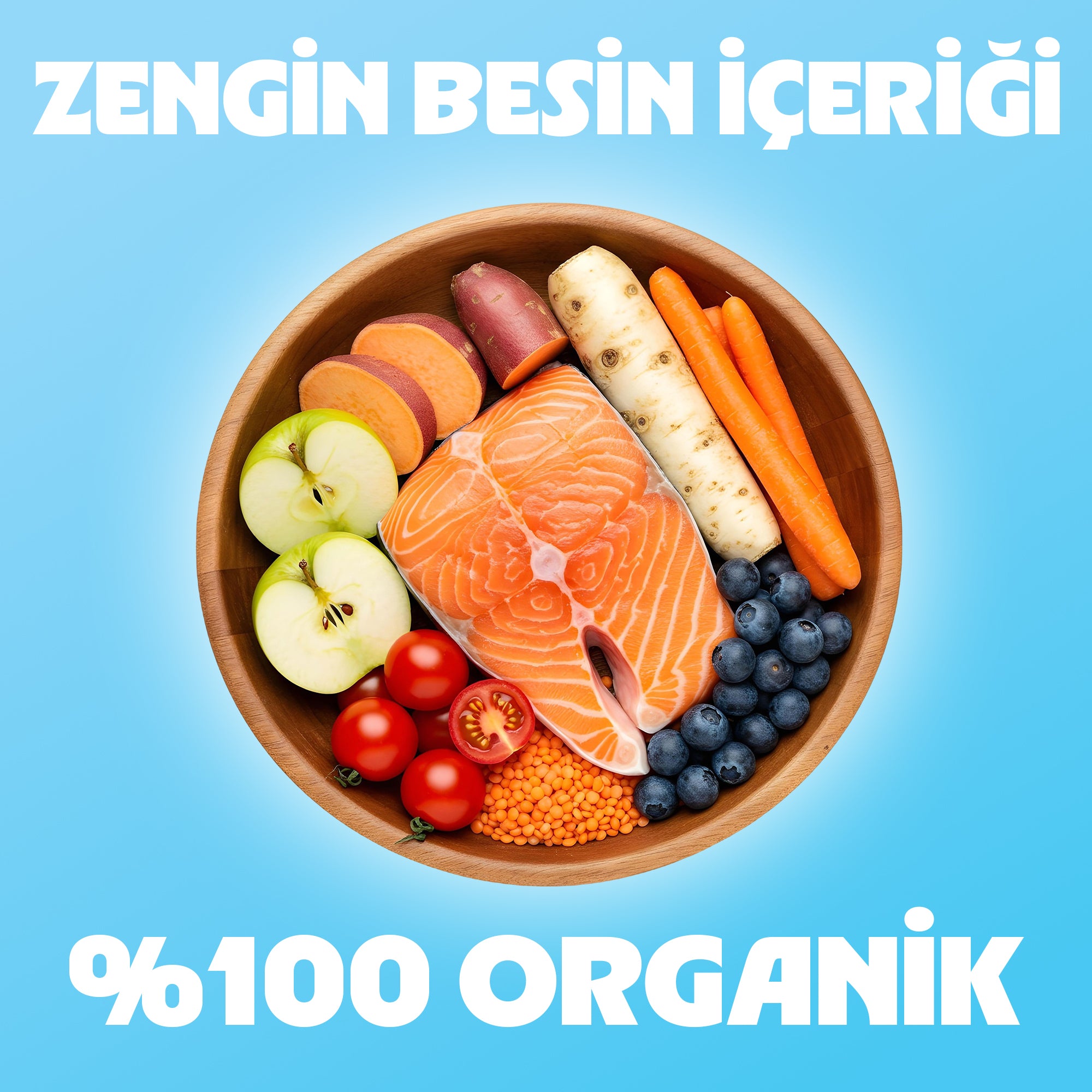 Chef’s Kibbles Norveç Somonlu Küçük ve Mini Irk Köpek Maması 15KG