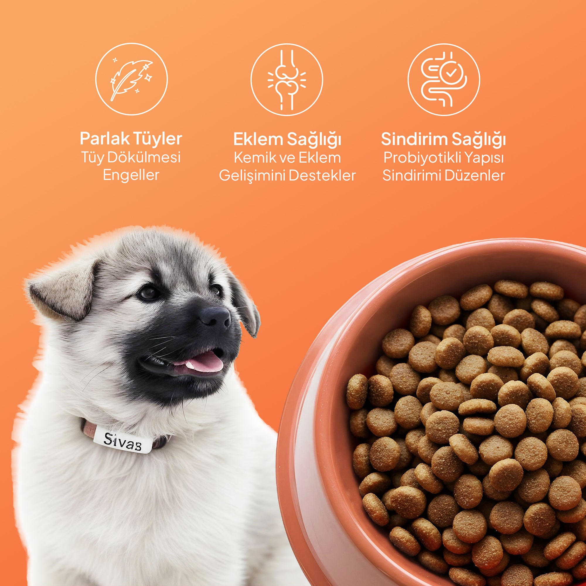 Chef’s Kibbles Norveç Somonlu Yavru Köpek Maması 15KG
