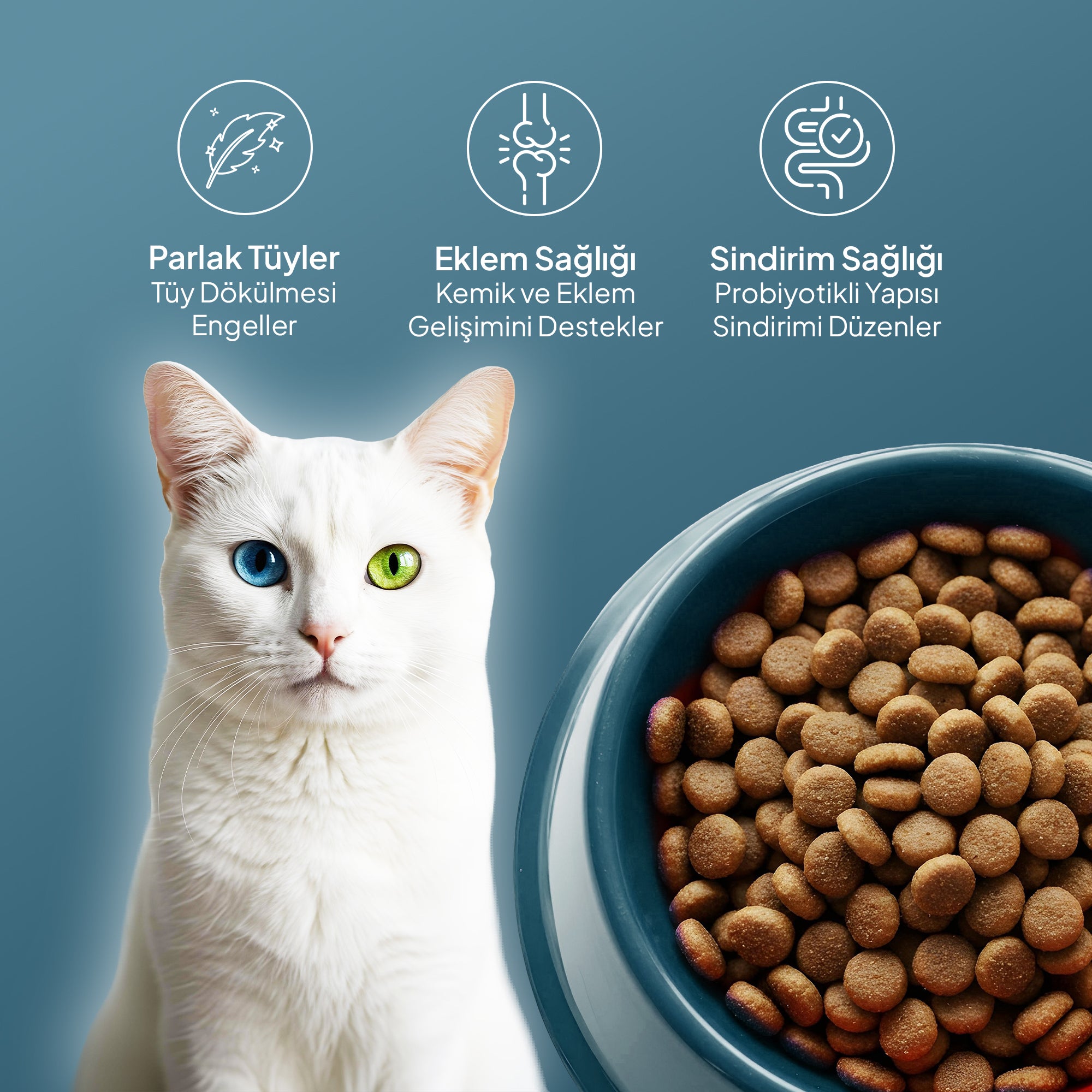 Chef’s Kibbles Kuzulu Yetişkin Kedi Maması 1.25KG