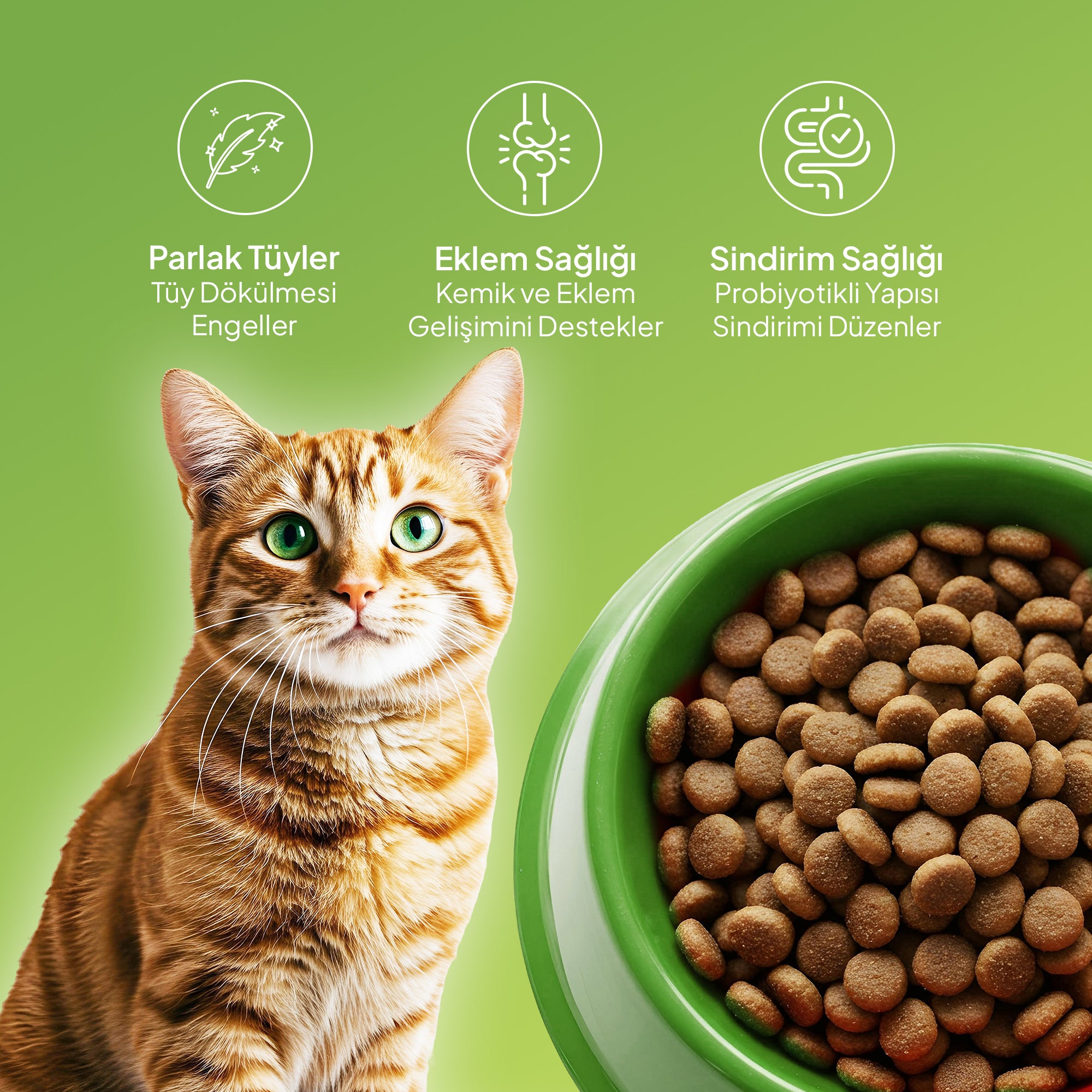 Chef’s Kibbles Norveç Somonlu Yetişkin Kedi Maması 15KG