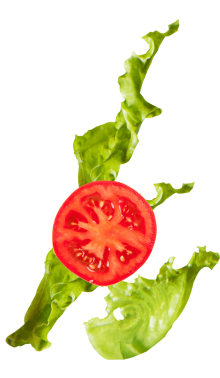 demo-attachment-87-lettuce_tomato@2x